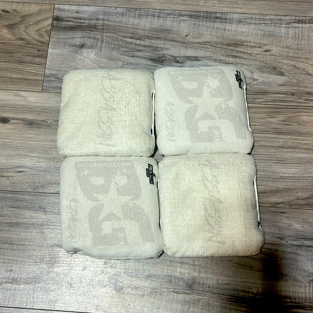 BG assassin 2024 bags